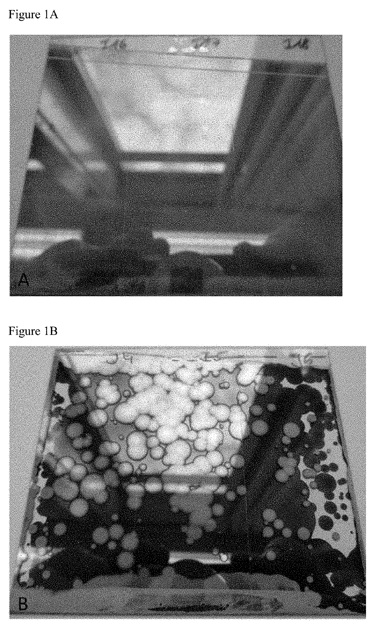 Method for providing a multilayer coating on a surface of a substrate