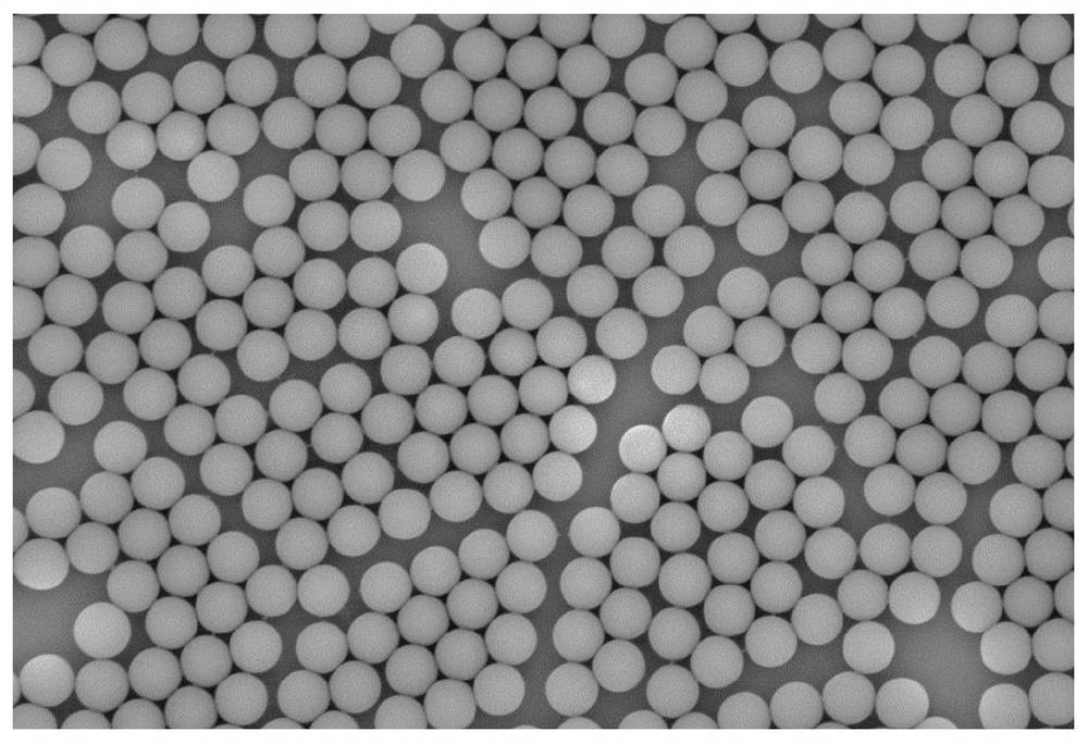 Near-infrared fluorescent microspheres with emission peak≧1300nm and their preparation and application