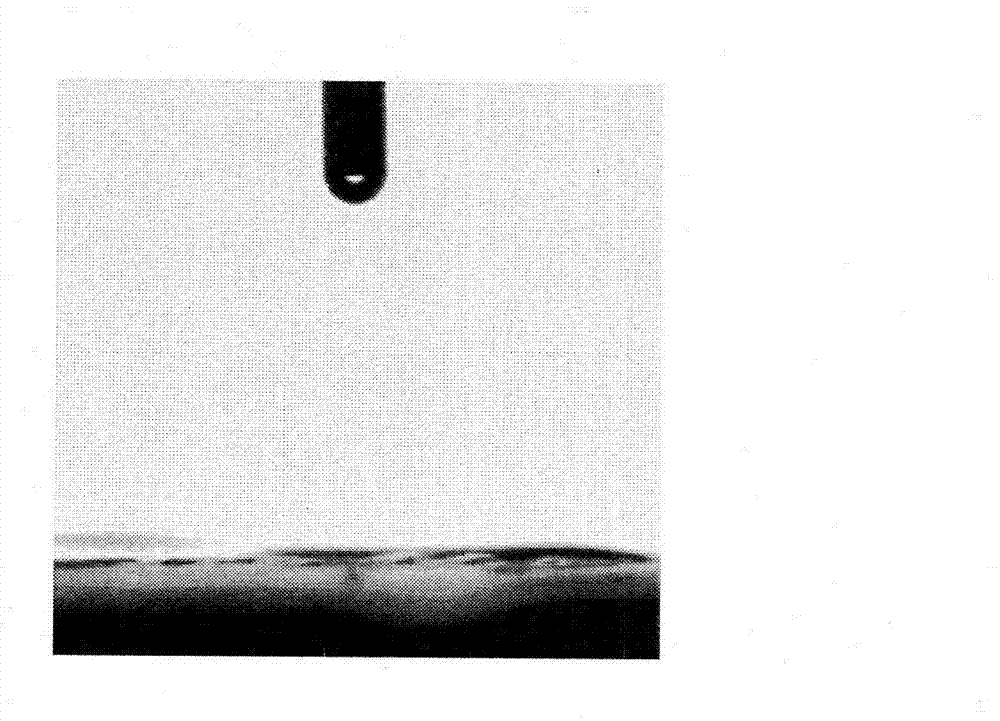 Oil-water separating device and method based on carbon nanotube film