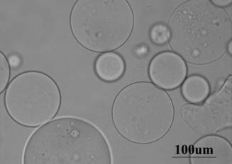 A kind of nano-starch-based microgel microsphere and its preparation method and application