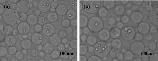 A kind of nano-starch-based microgel microsphere and its preparation method and application