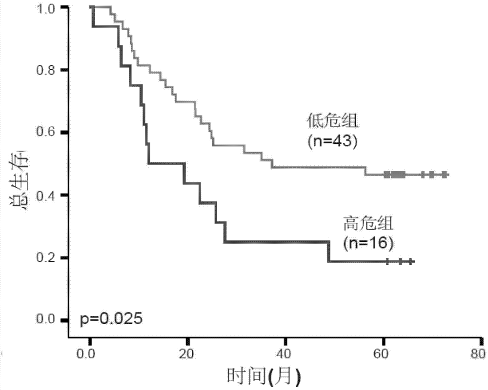 Product for performing assisted prediction on postoperative survival time length of esophageal squamous carcinoma patient