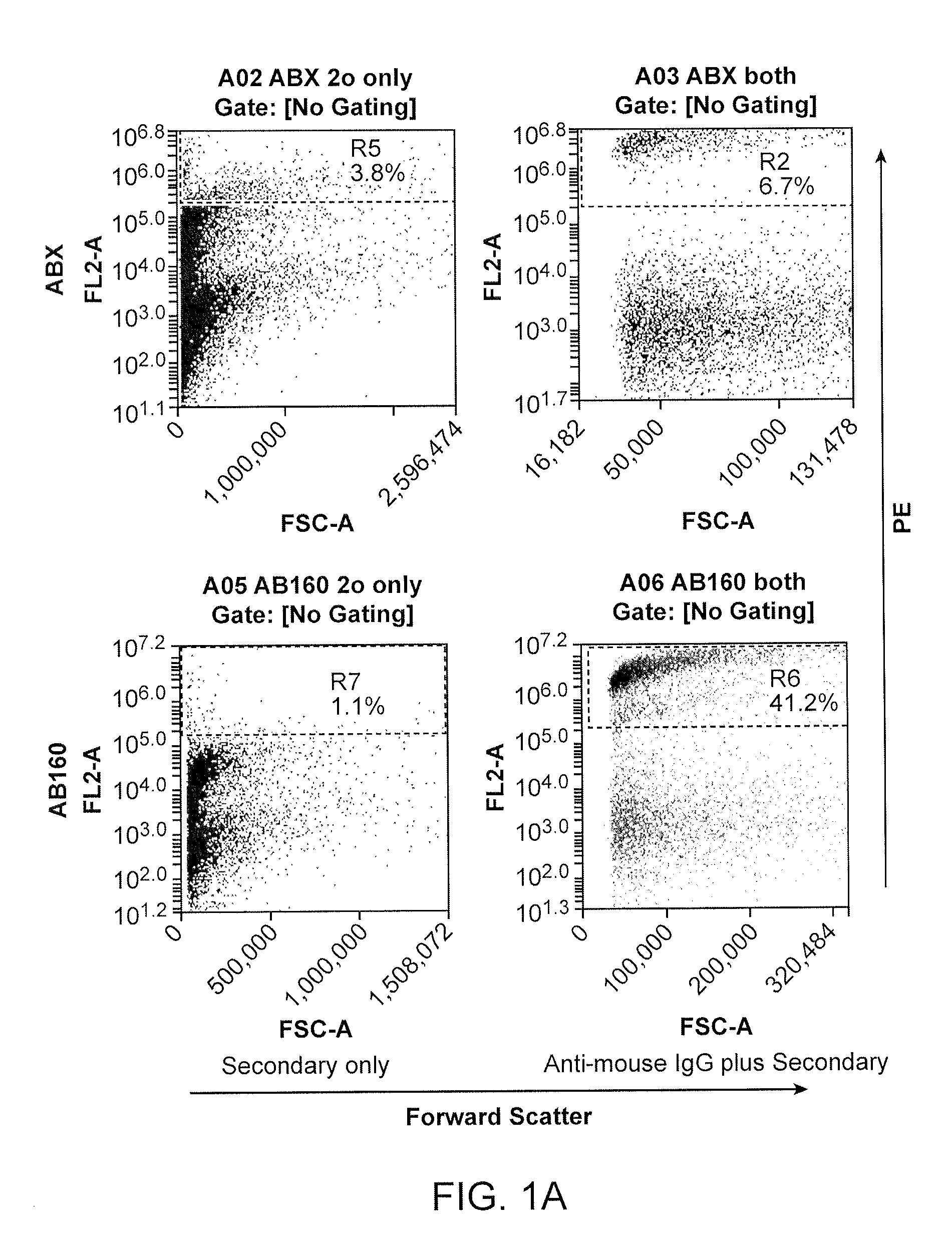 Carrier-antibody compositions and methods of making and using the same