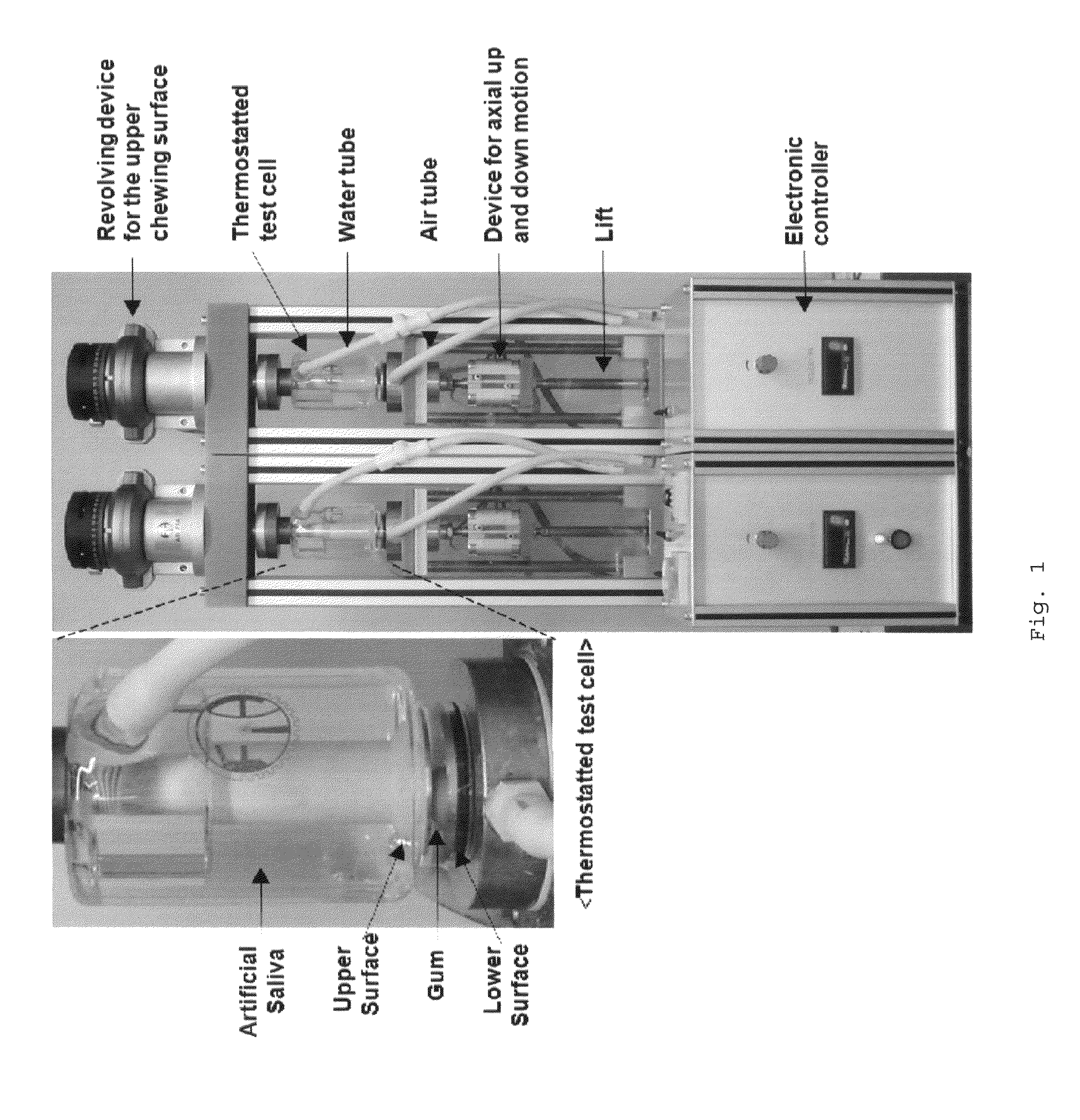 Antimicrobial decapeptide oral hygiene treatment