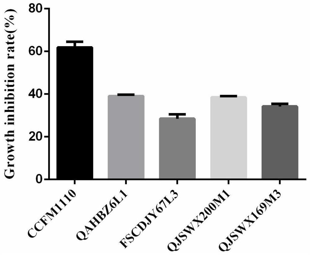 A strain of Lactobacillus crispatus capable of preventing and/or treating candida vaginitis