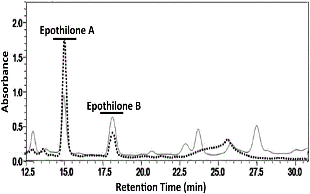Fermentation additive capable of changing generation rate of epothilone compound and improving yield of epothilone A