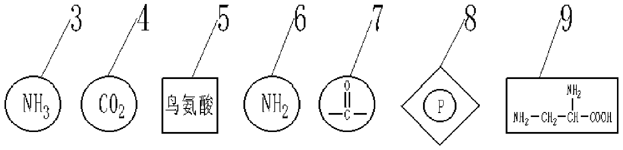 Biochemical reaction process demonstration device