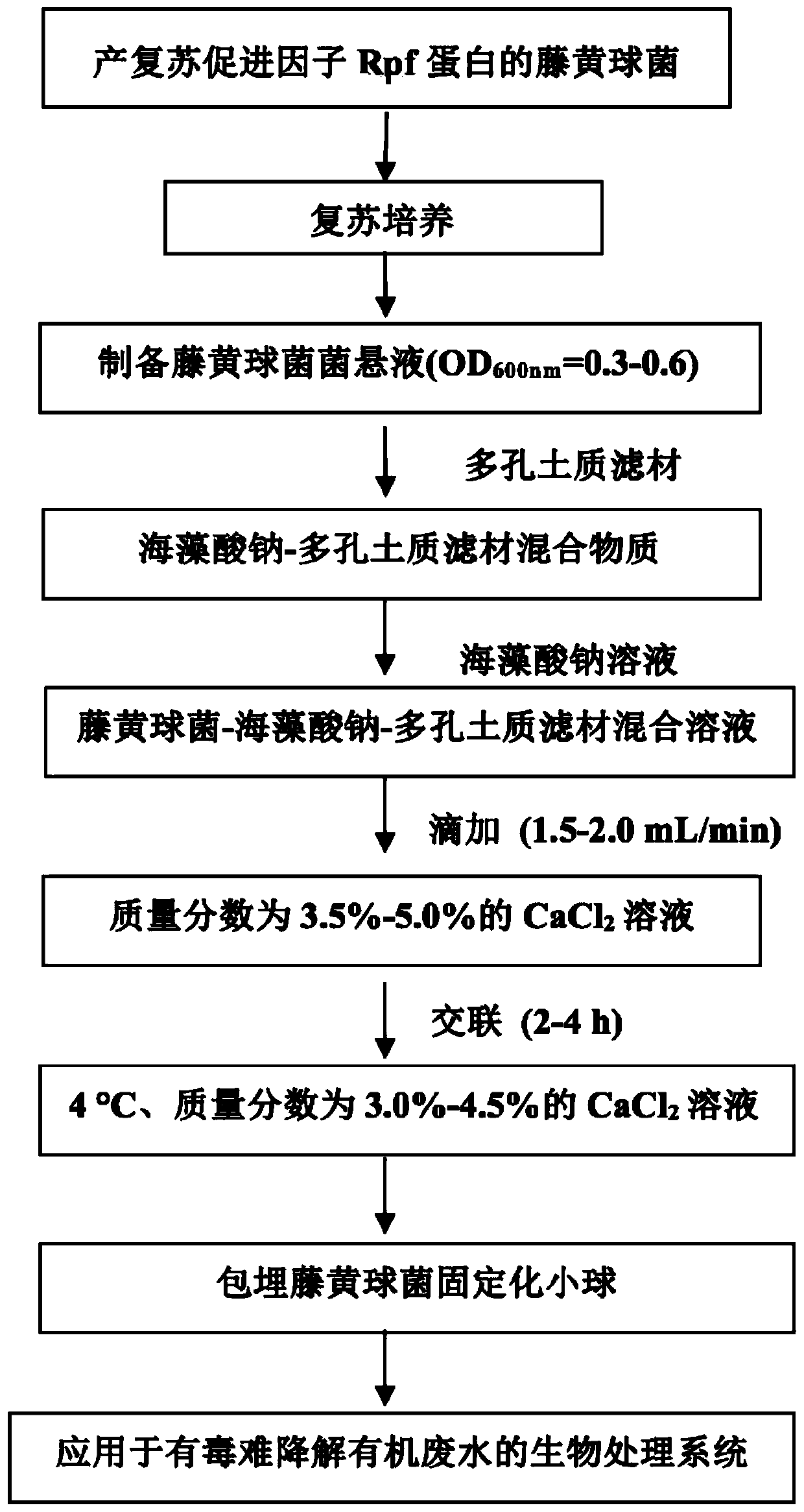 A kind of preparation method and application of luteus immobilized pellet