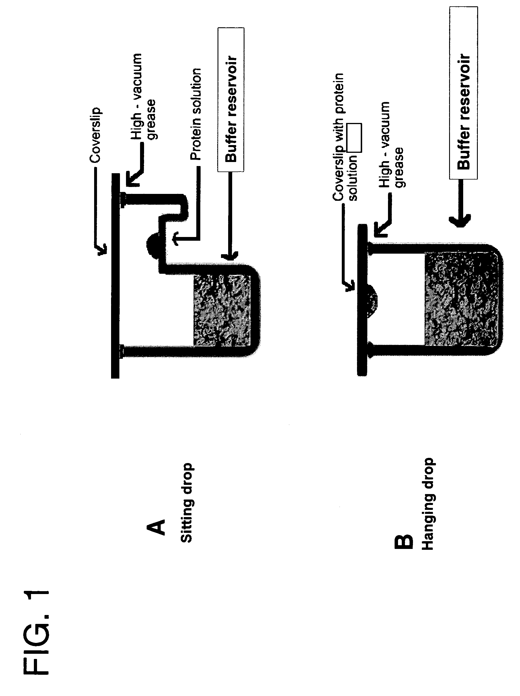 High-throughput method for optimum solubility screening for homogeneity and crystallization of proteins
