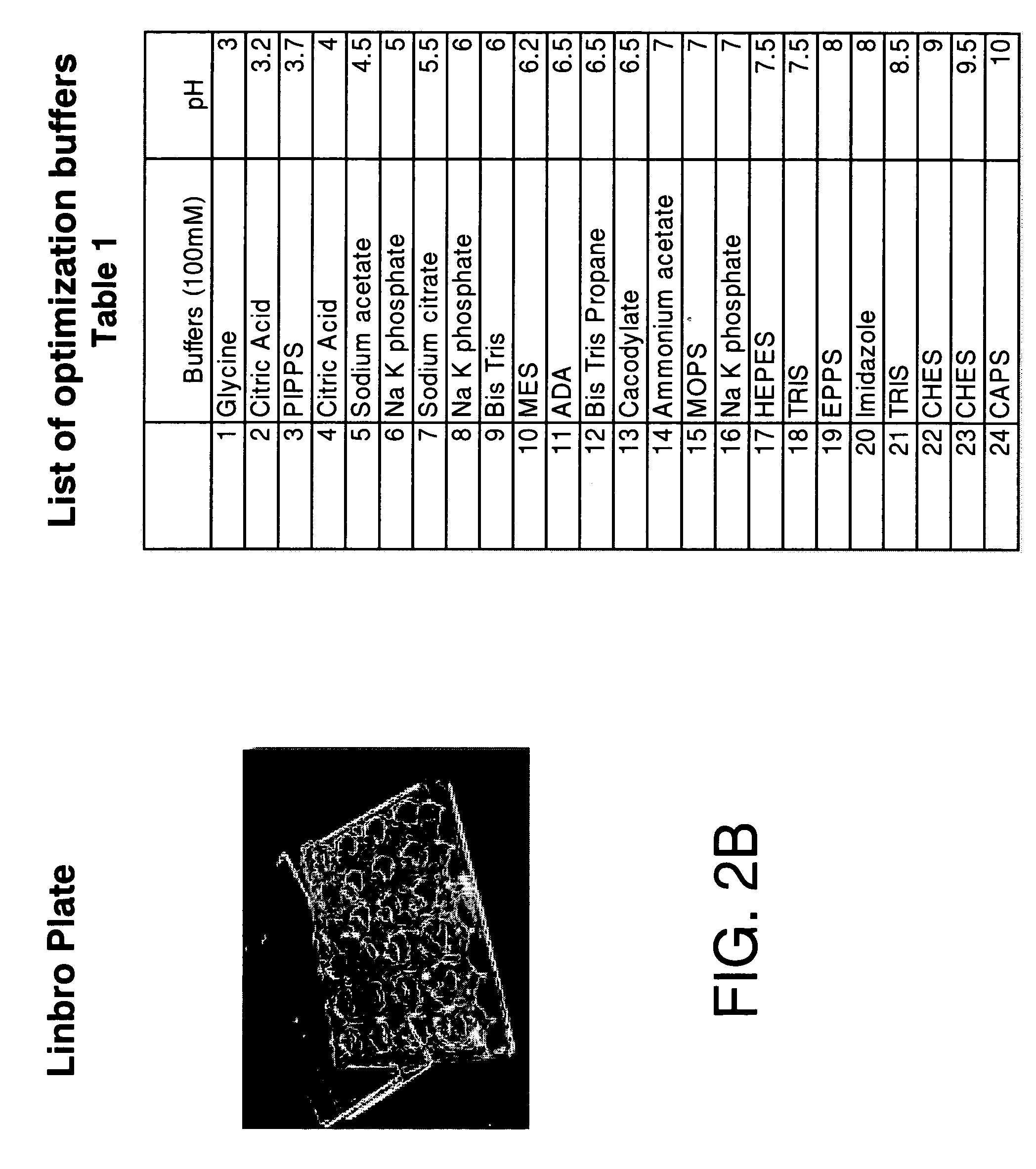 High-throughput method for optimum solubility screening for homogeneity and crystallization of proteins