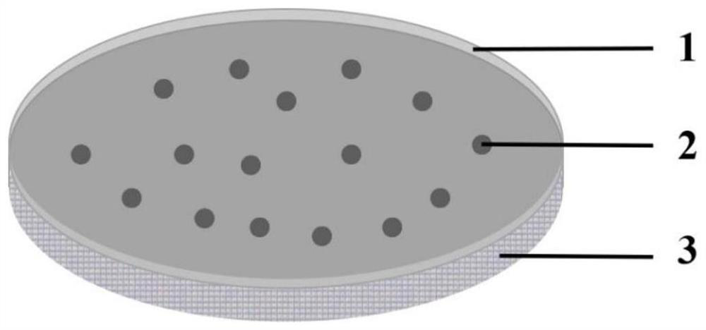 Black talc nano particle modified polyamide composite nano-filtration membrane