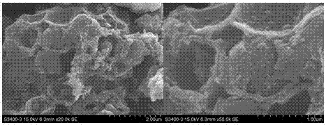 Nitrogen and phosphor-doped biomass carbon material synthetic method and application of biomass carbon material in microbiological fuel cell cathode