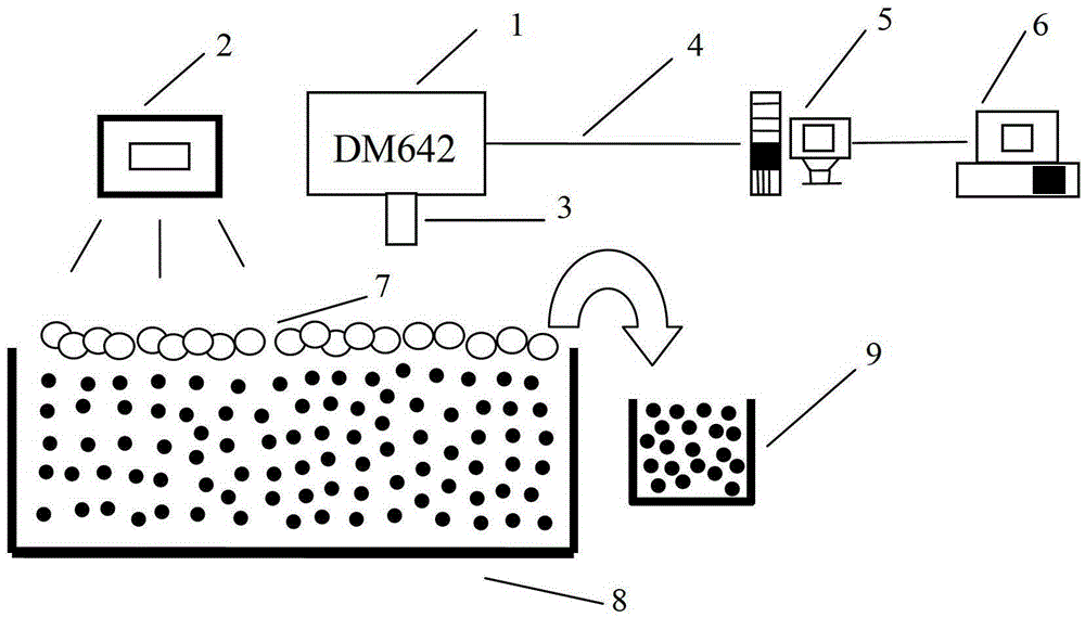 An embedded foam flow rate measurement system and method for mineral foam flotation