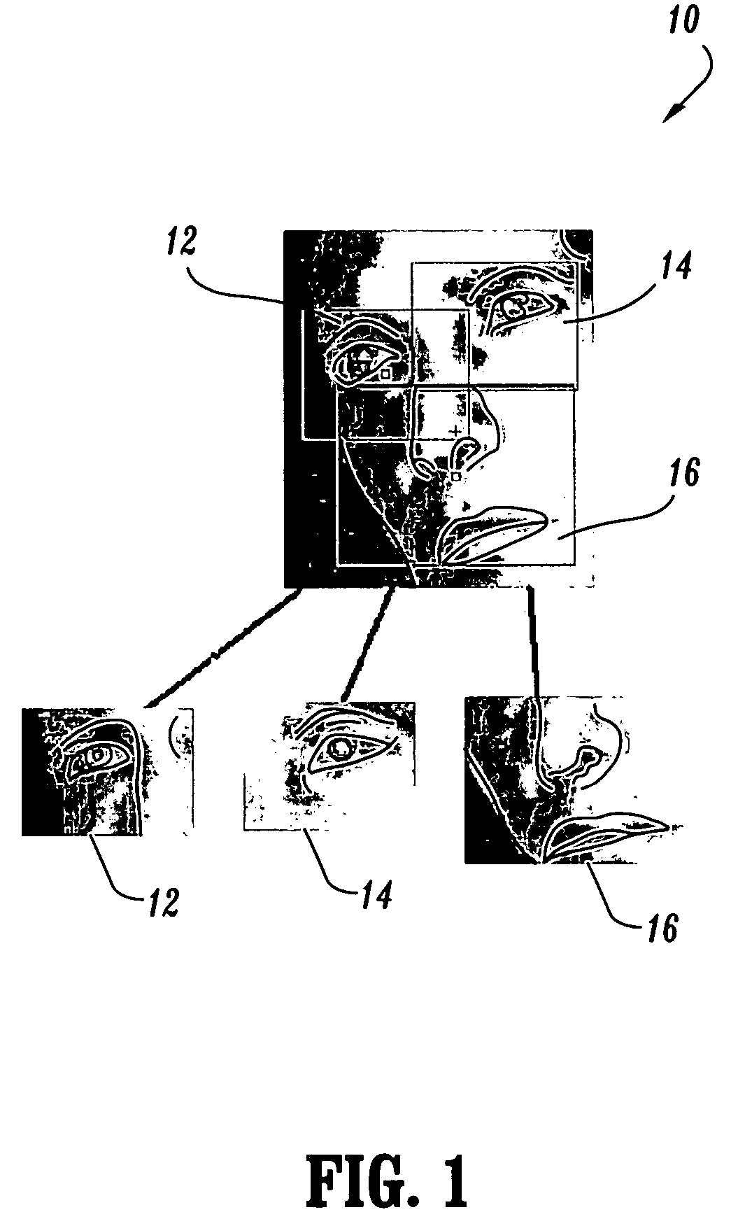 Systems and methods for face detection and recognition using infrared imaging