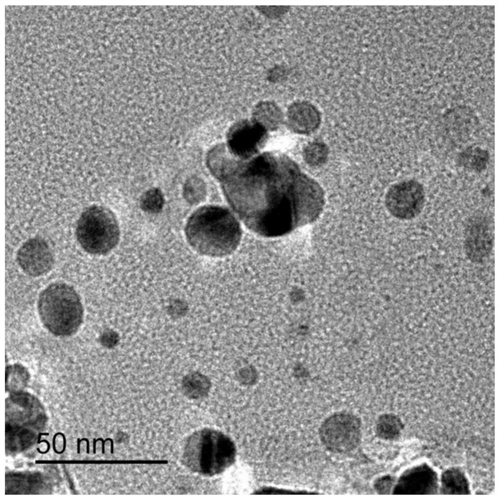 A kind of method that carvacrol microemulsion system prepares nano-silver