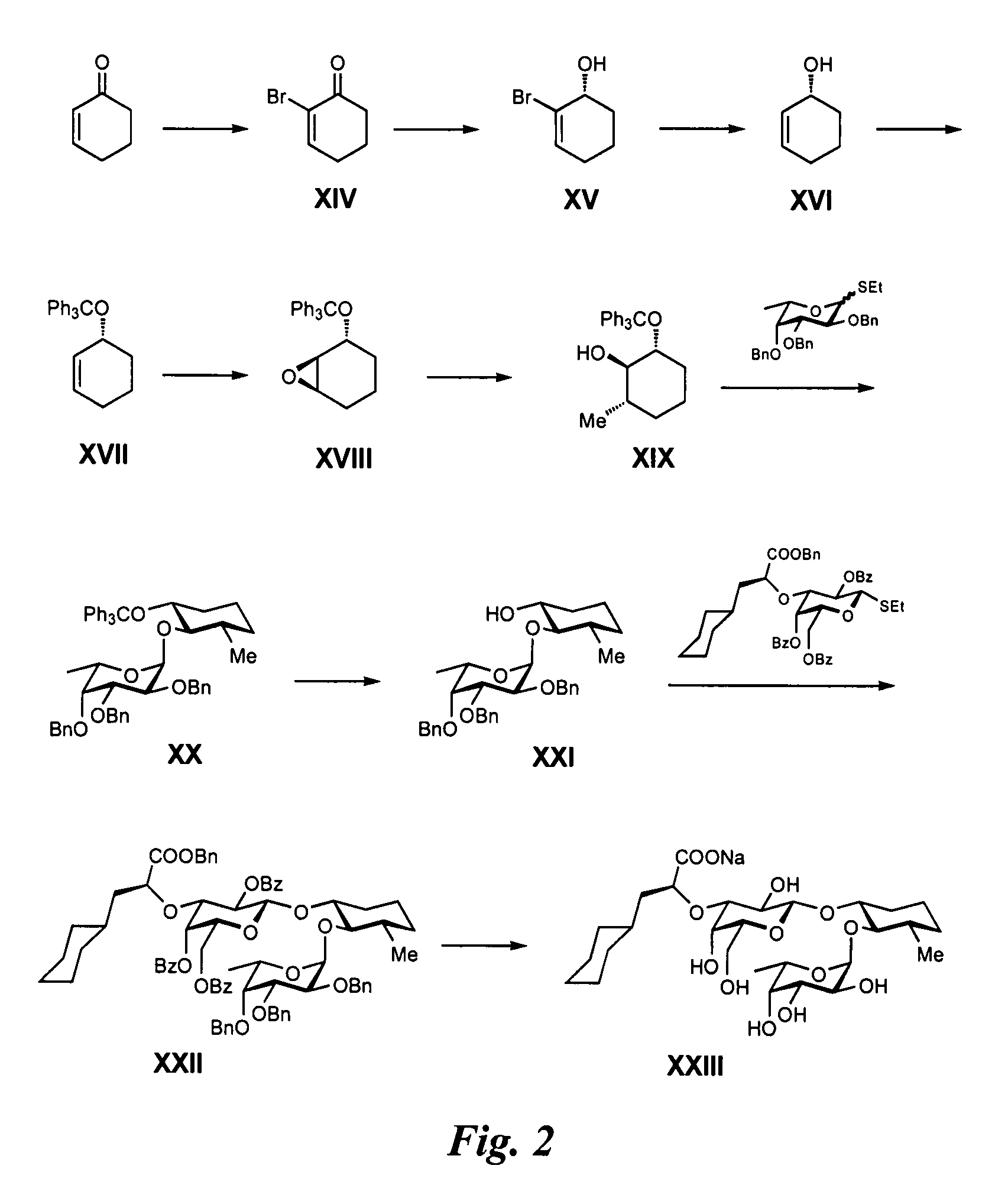Glycomimetic replacements for hexoses and N-acetyl hexosamines