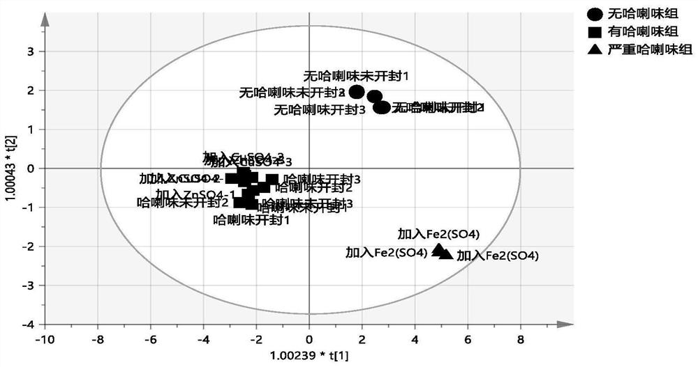 Method for measuring oxidative rancidity degree of infant formula rice flour and application of method