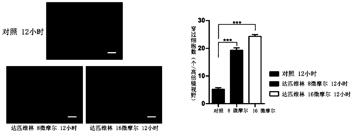 Application of dapivirine in preparation of medicine for treating glioblastoma