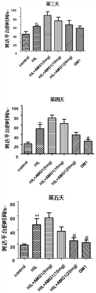 Application of α-mangostin derivatives in the preparation of anti-cerebral palsy drugs and anti-cerebral palsy drug composition