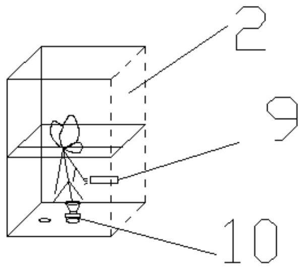 A detection device and detection method for root droplet adhesion area based on low-field nuclear magnetic resonance and optical fiber detection