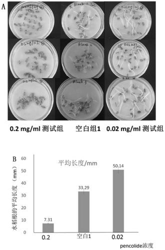 Application of pencolide in the preparation of plant growth regulator or inducer