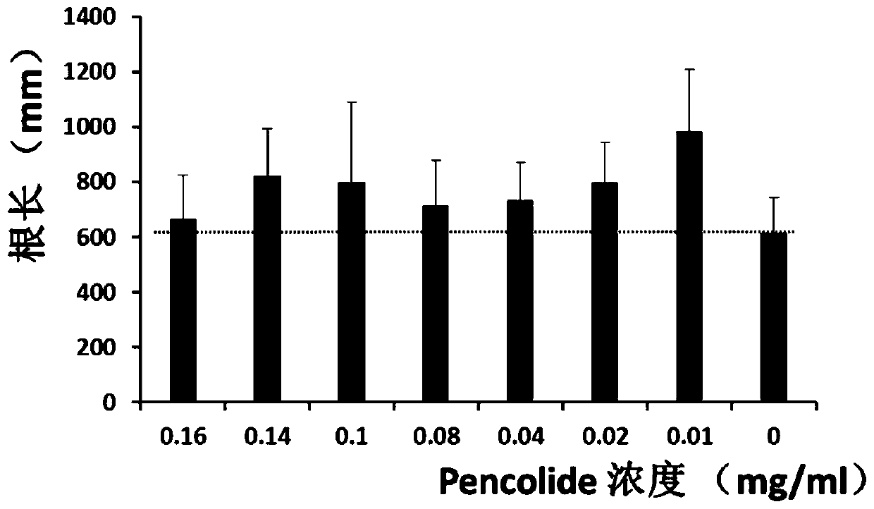 Application of pencolide in the preparation of plant growth regulator or inducer