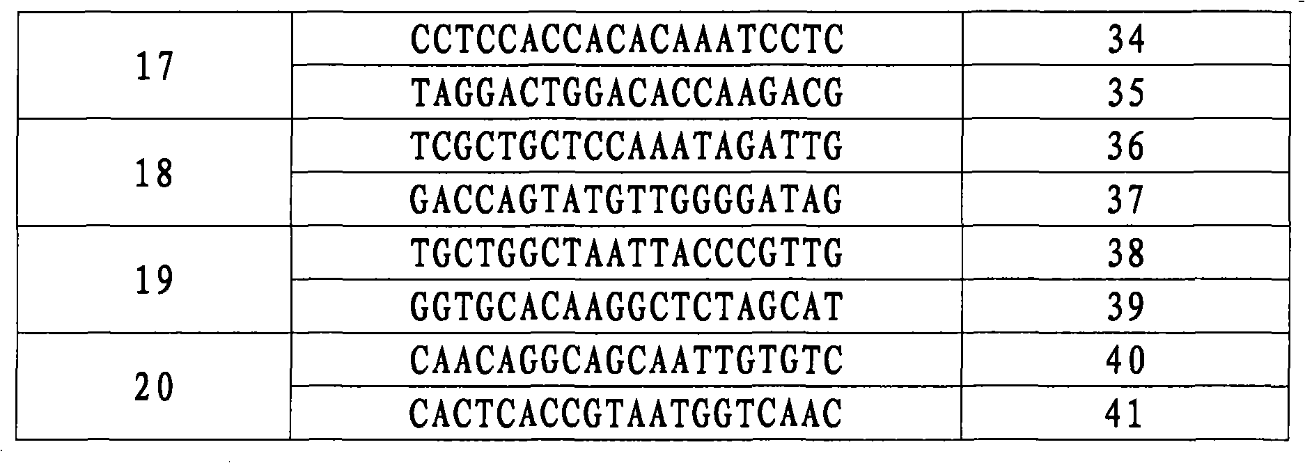Molecular marker SIsv0372 in close linkage with foxtail millet herbicide resistant gene