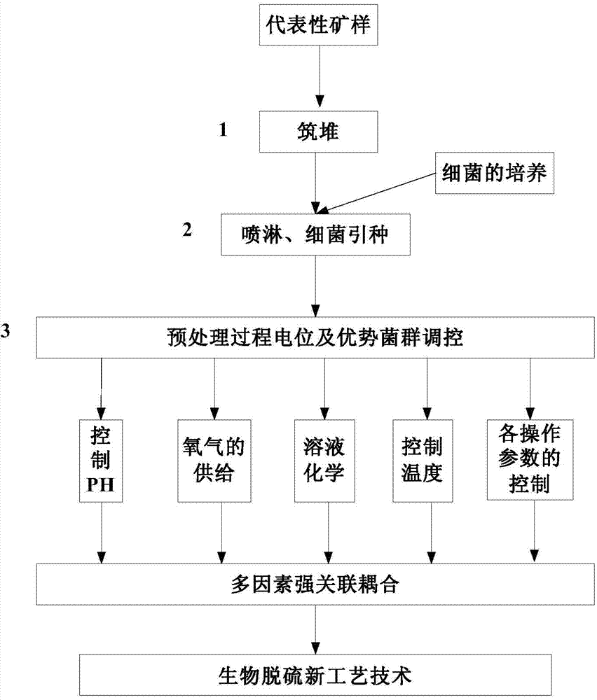 Process for using specific desulphurization mixed bacterium for high sulfur coal mine biological desulfurization
