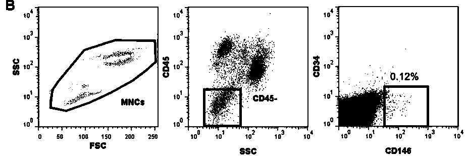 A kit, a system and a method for determining patient marrow microenvironment after hematopoietic stem cell transplantation