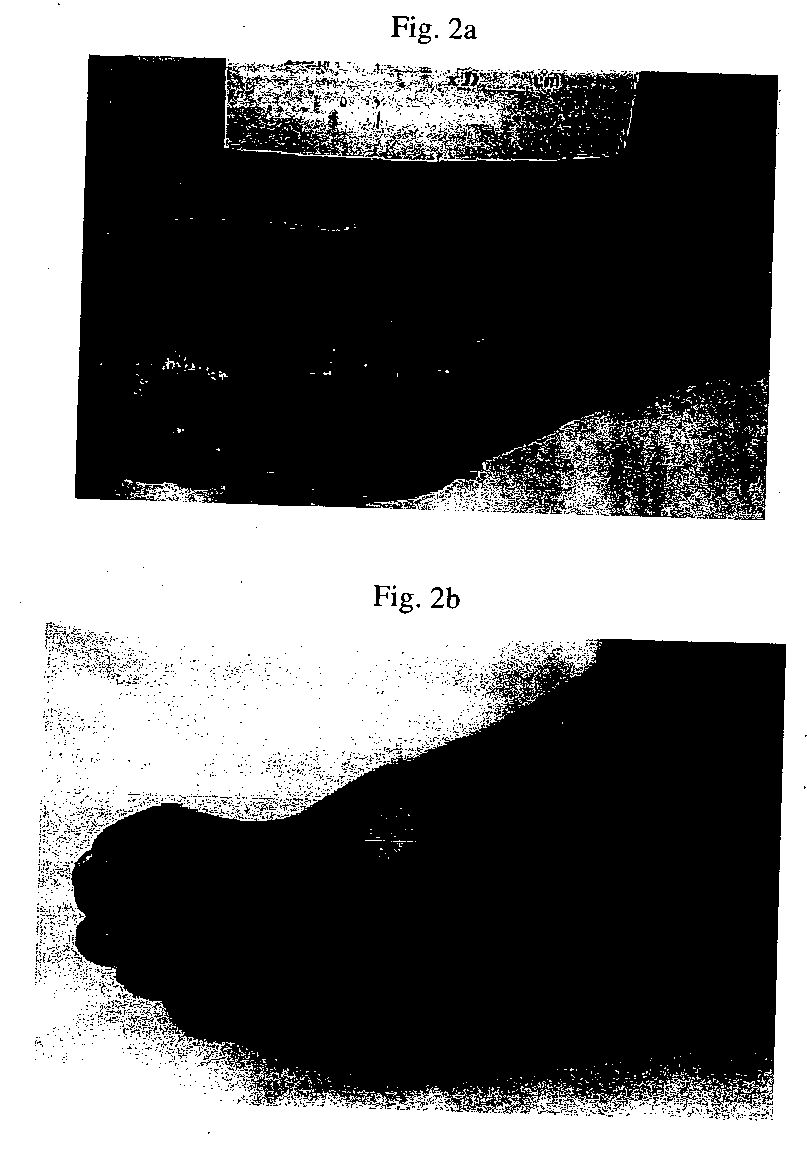 Compositions for disrupting and inhibiting reconstitution of wound biofilm
