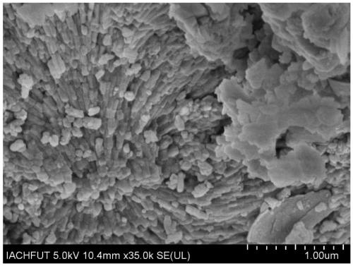 Phosphorus removal material based on collophanite tailings as well as preparation and application methods thereof