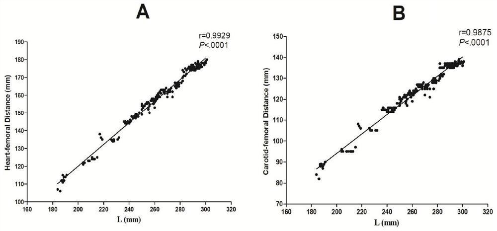 Non-invasive measurement method for aortic stiffness of rat model