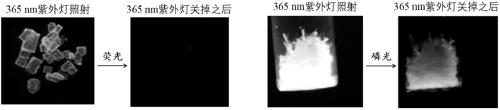 Pure organic room-temperature phosphorescent material of distorted donor-receptor structure and preparation method and application of pure organic room-temperature phosphorescent material