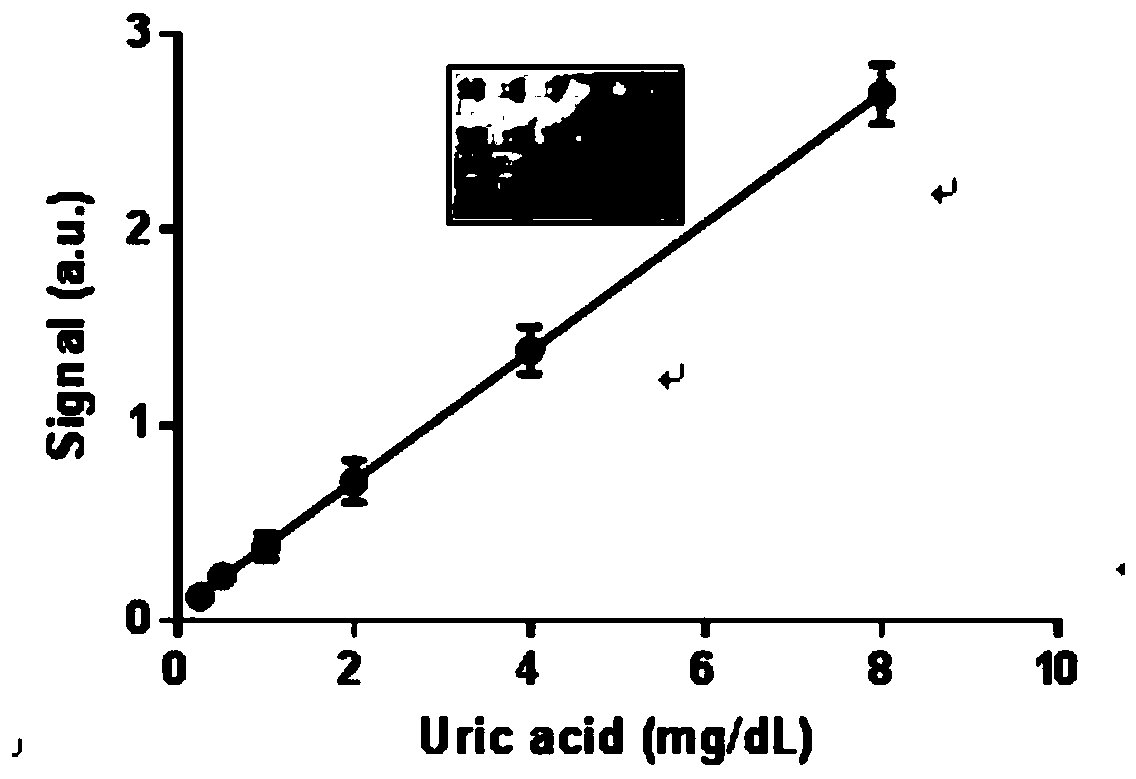 Uric acid detection method and uric acid detection device