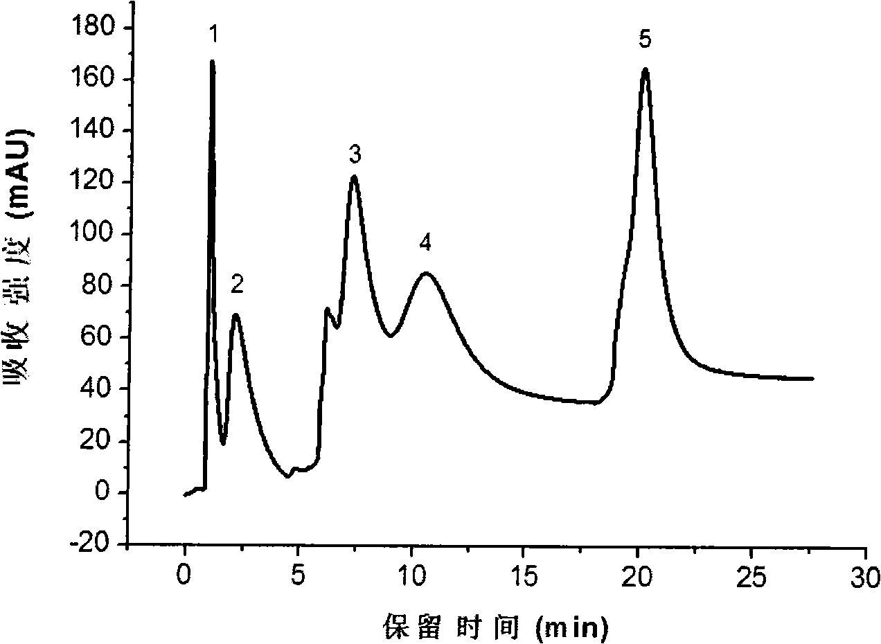 Ion exchange chromatography fixed phase, preparing method and application of the same