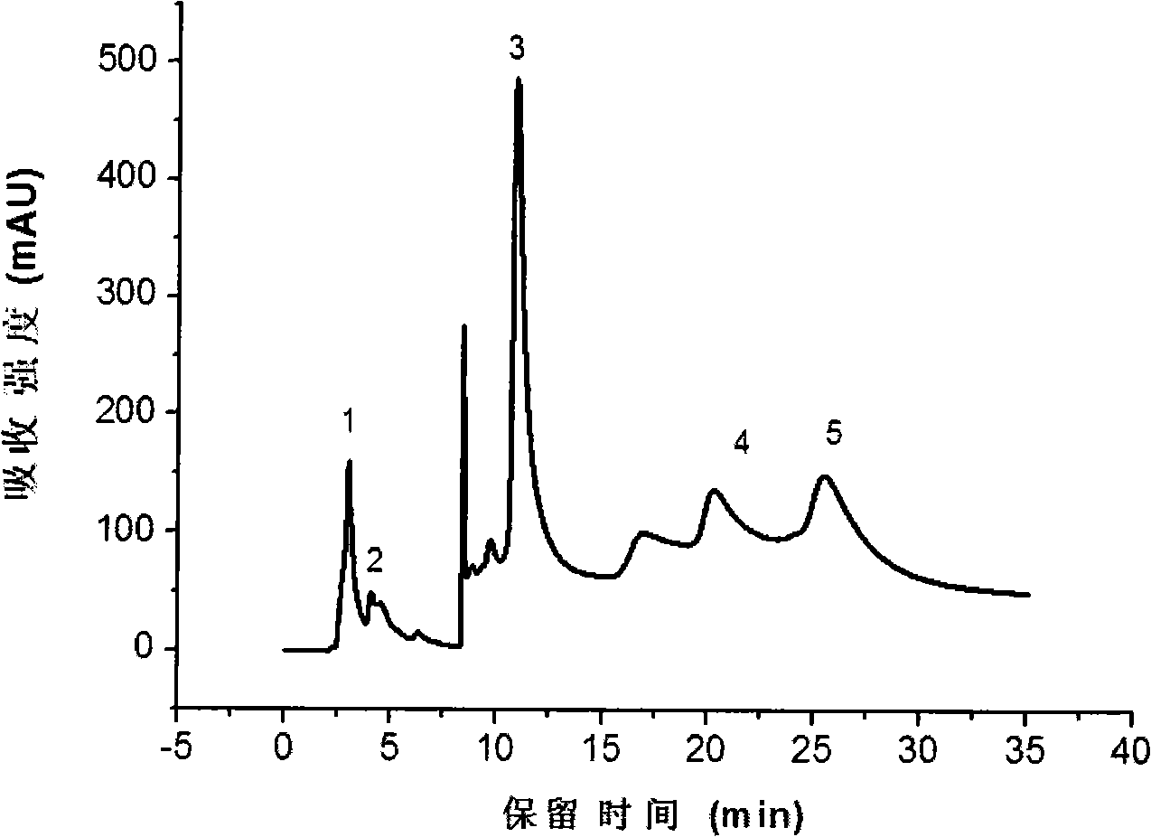 Ion exchange chromatography fixed phase, preparing method and application of the same