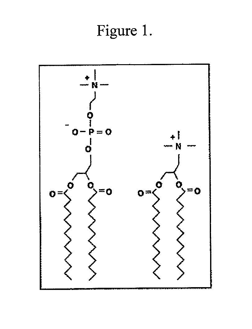 Lipophilic nucleic acid delivery vehicle and methods of use thereof