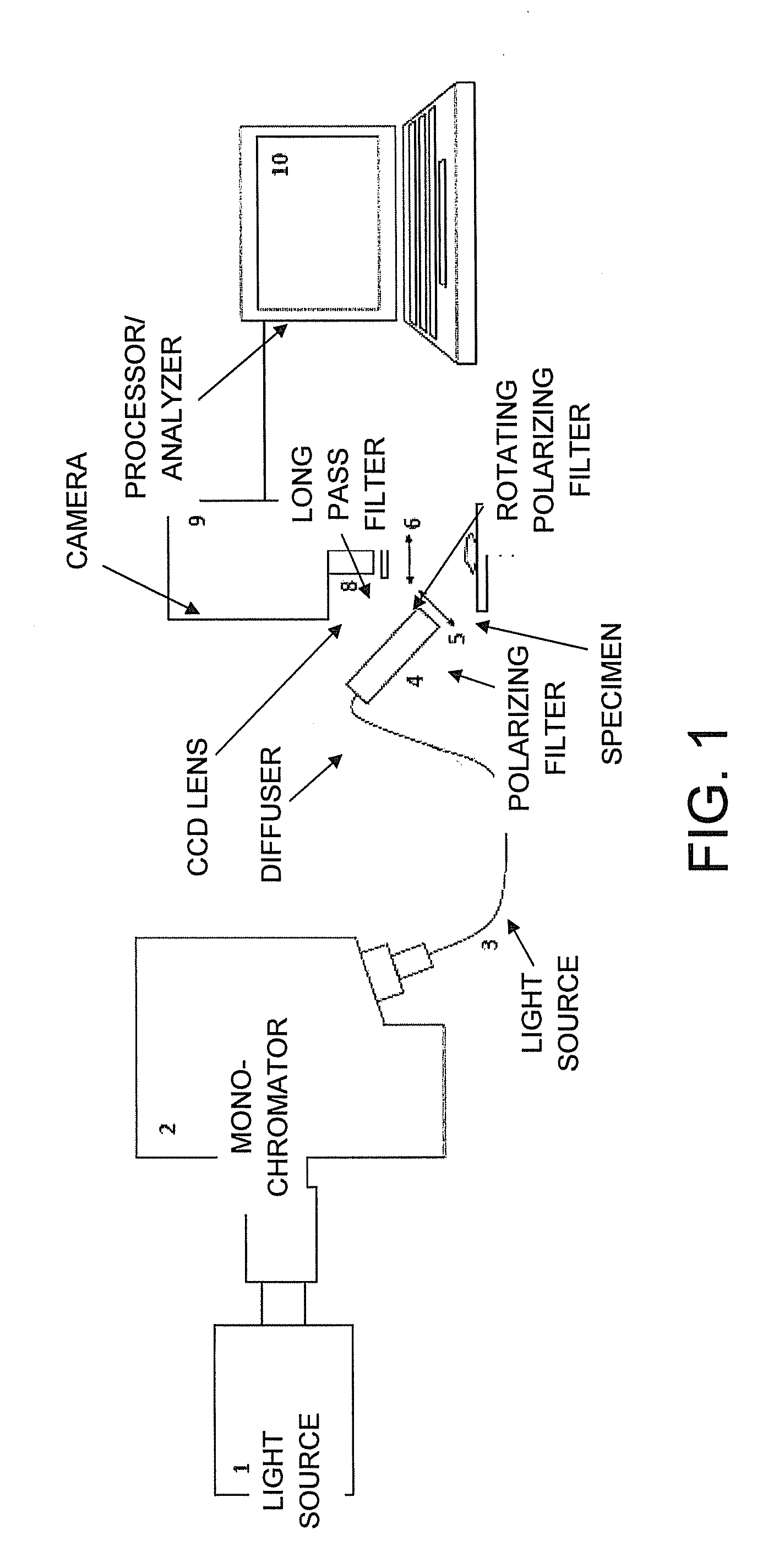 Method and apparatus for multimodal imaging of biological tissue