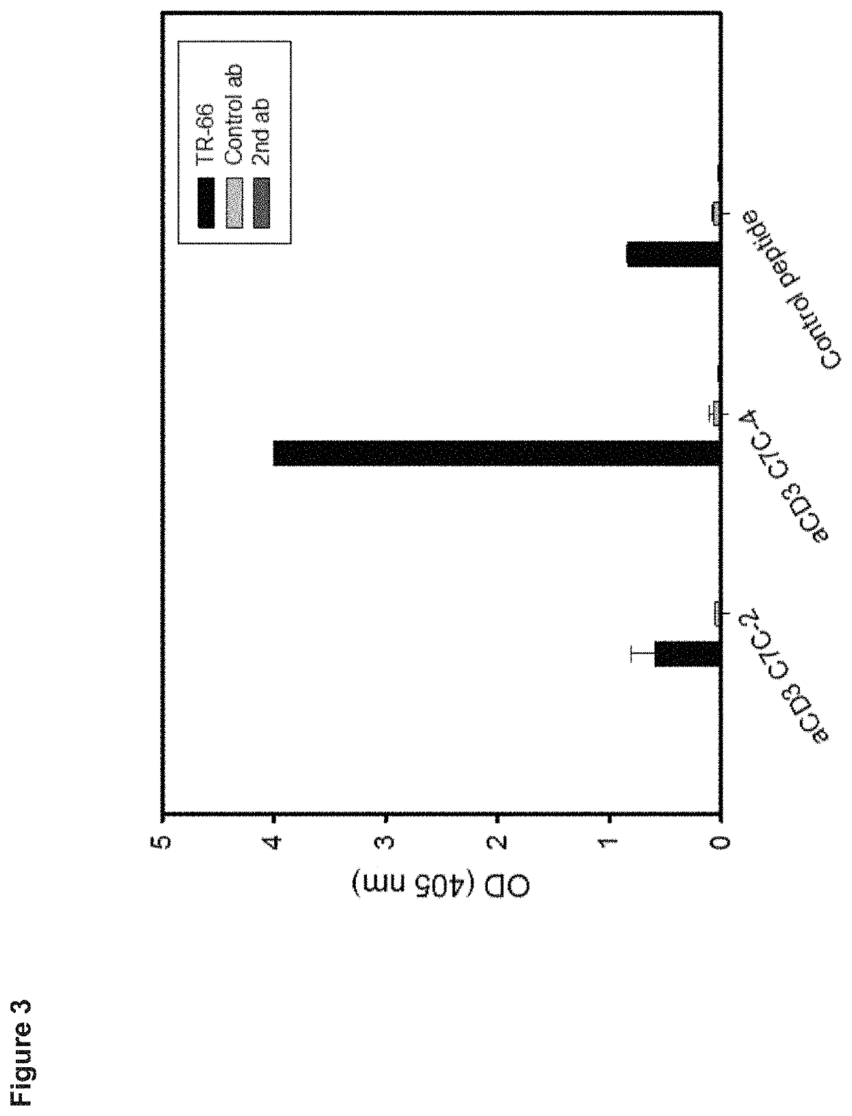 Peptide mimotopes of the CD3 T-cell co-receptor epsilon chain and uses thereof