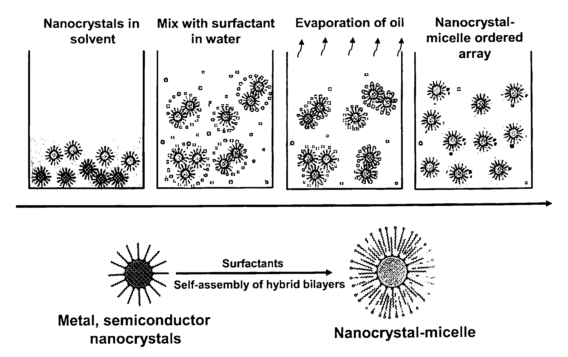 Self-assembly of water-soluble nanocrystals