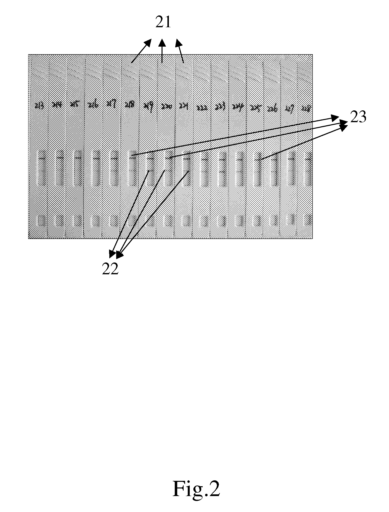 Method for detection of foot-and-mouth disease virus with chromatographic strip test