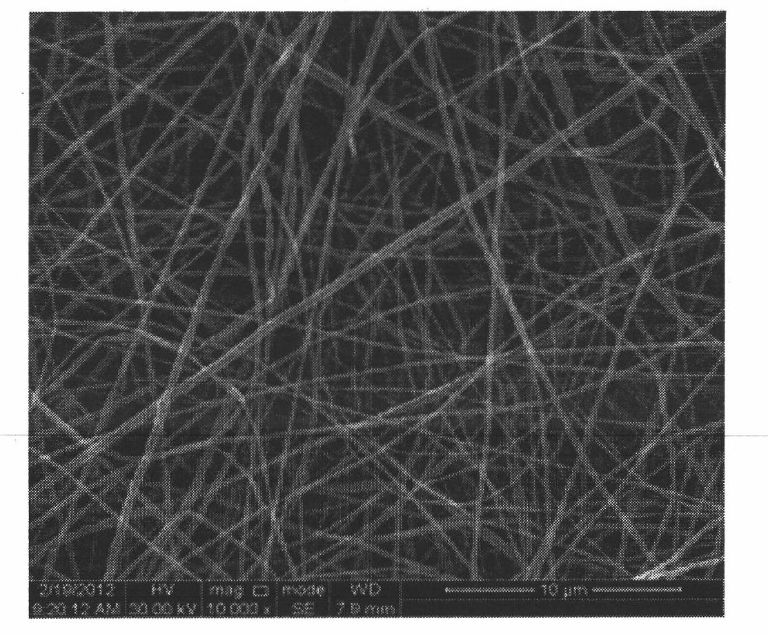 Method for preparing Nafion nanometer filter film