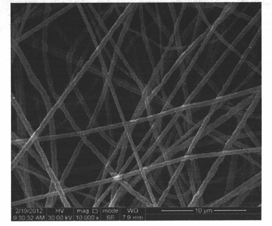 Method for preparing Nafion nanometer filter film