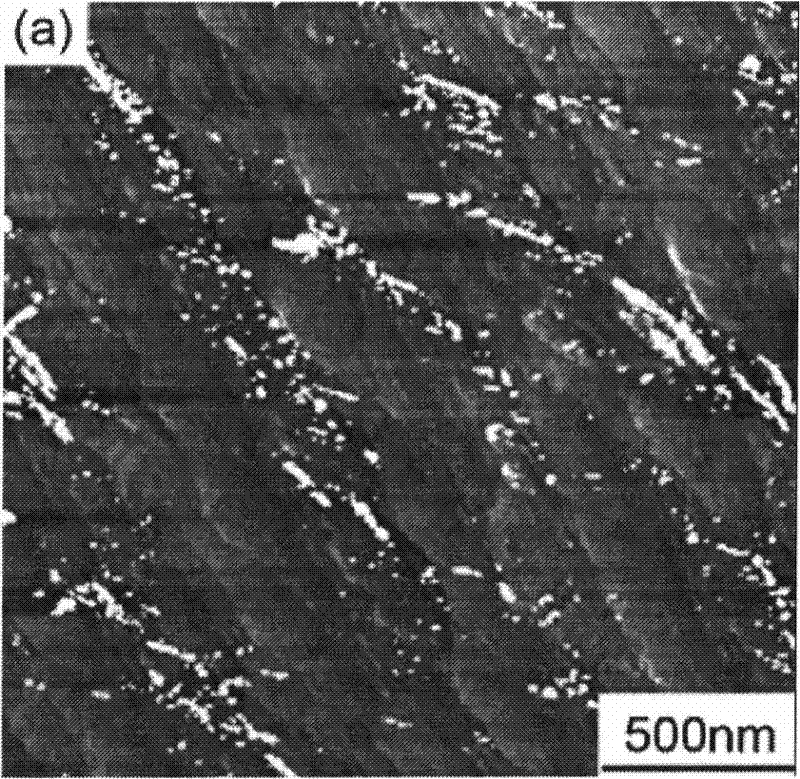 Method for preparing mesoporous nano particle-enhanced nylon composite material