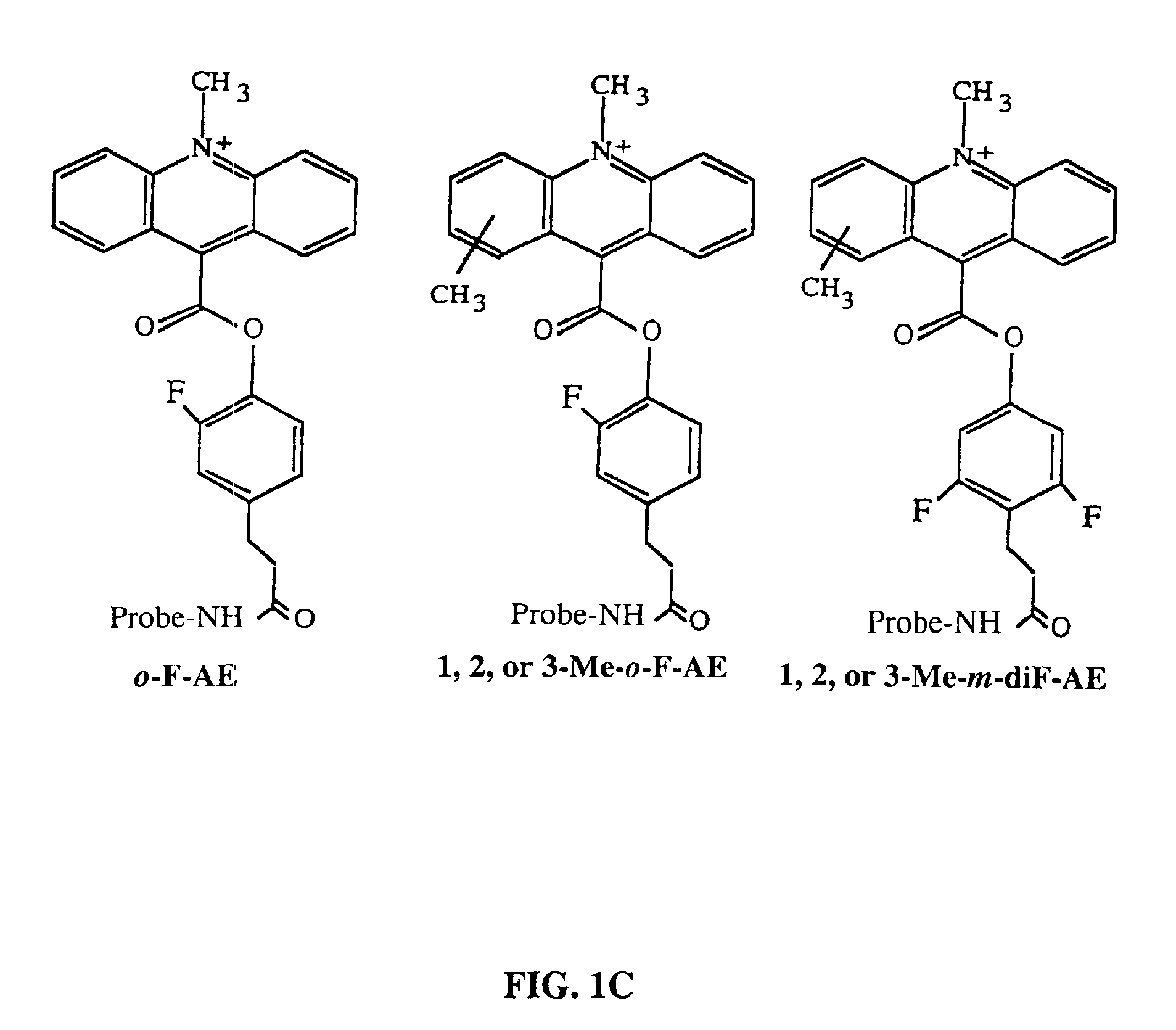 Method for determining the presence of an RNA analyte in a sample using a modified oligonucleotide probe