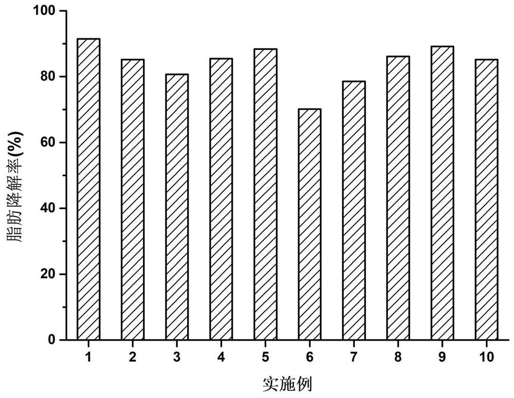 Composite microbial degradation bacteria agent for kitchen waste treatment and its preparation method and use