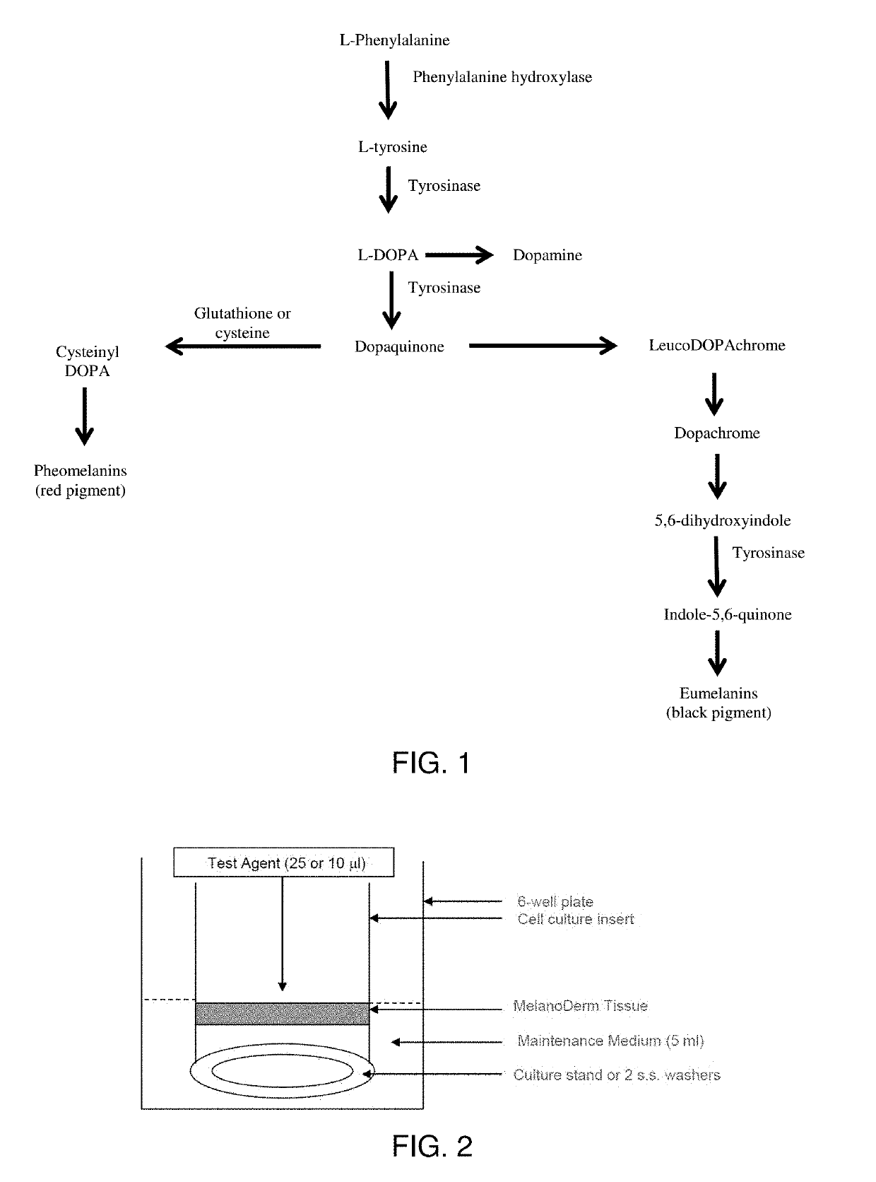 Determination of melanin inhibition potential of natural ingredients