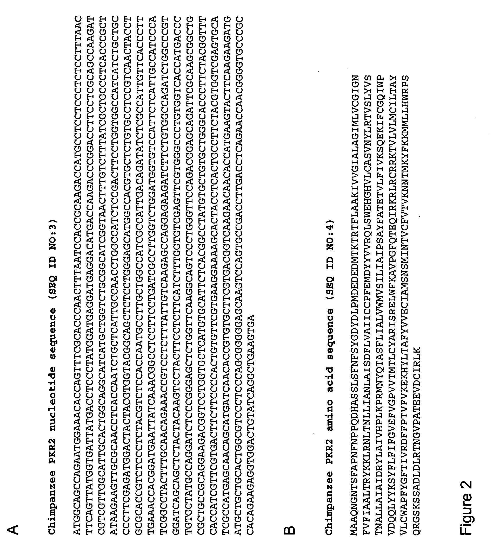 Primate prokineticin and prokineticin receptor polypeptides, related compositions and methods