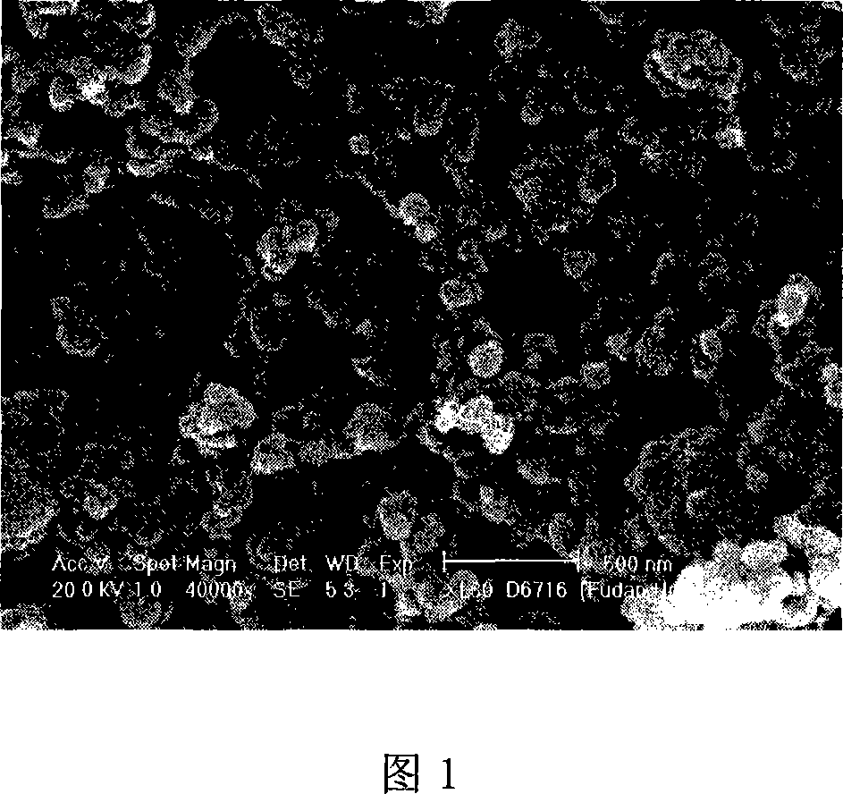 Organic inorganic composite polymer electrolyte and preparation method and application thereof