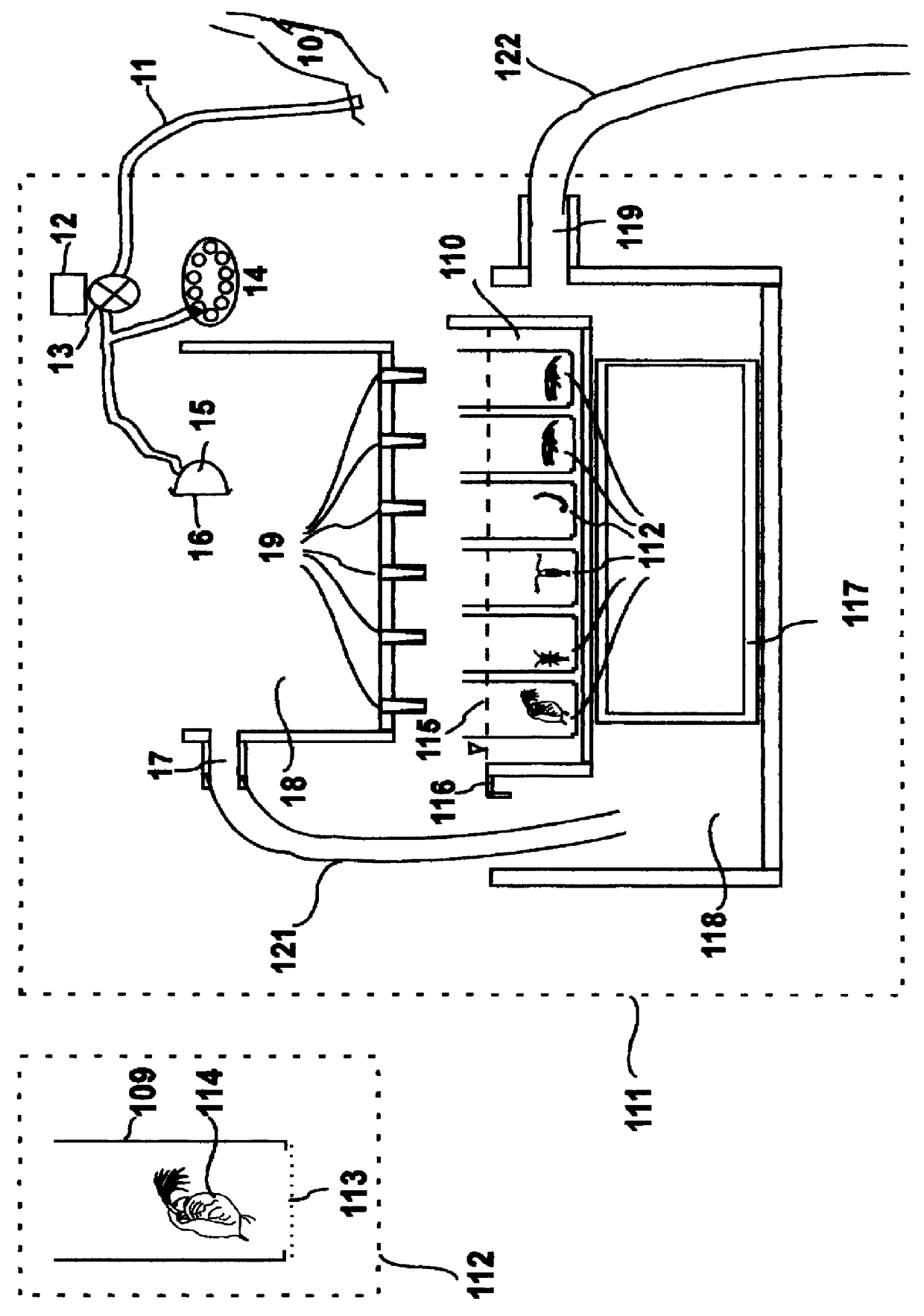 Flow-through system and method for toxicity testing